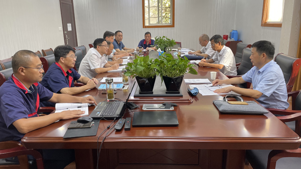 集团公司督查组到公司开展督查工作 集团公司督查组到公司开展督查工作