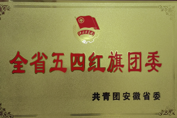公司团委获得一项省级荣誉 公司团委获得一项省级荣誉